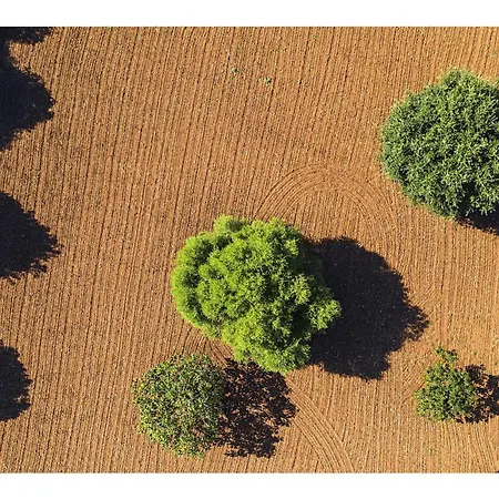 Superb 5 Bedrooms Fiorever Mountainside Views Pollença