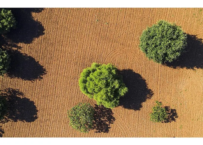 Superb 5 Bedrooms Fiorever Mountainside Views Польенса